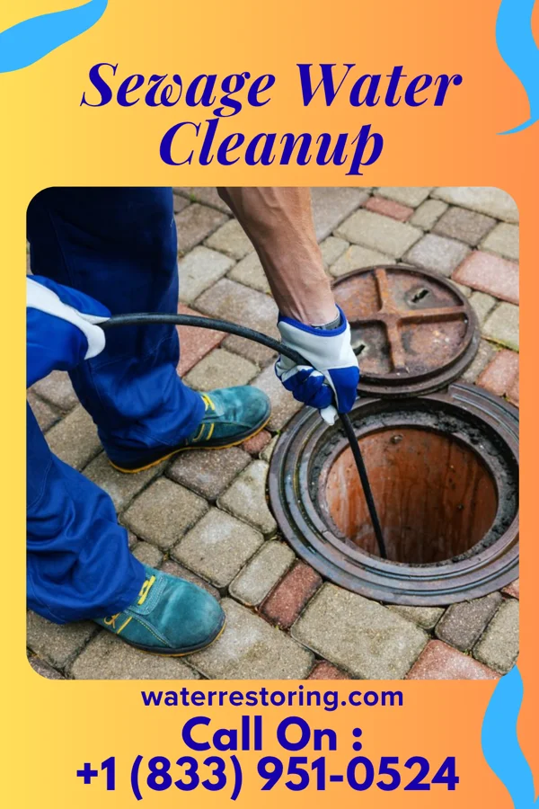 Sewage Water Cleanup in Carrollton, IL